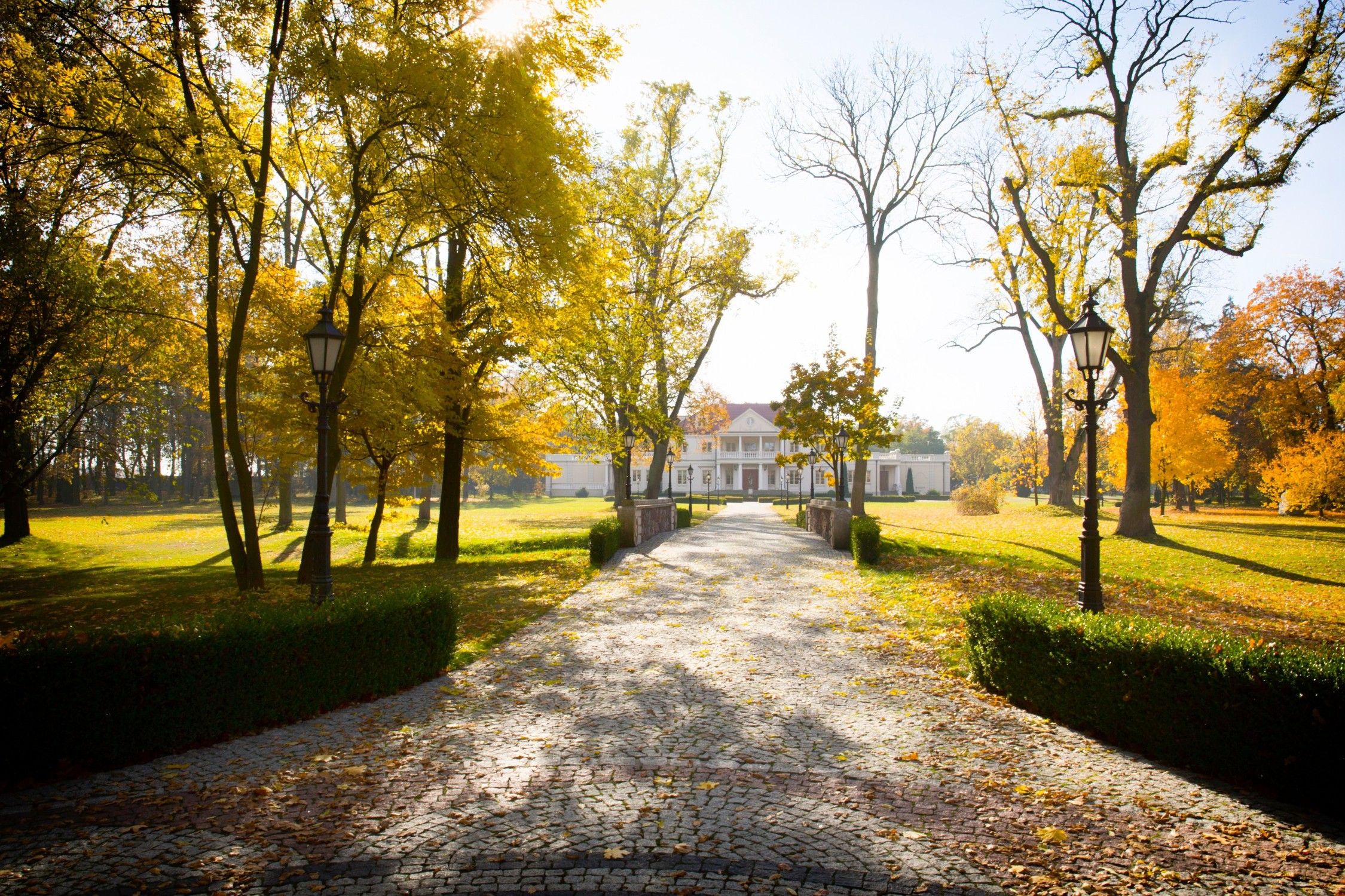 Billeder Herregård og park i Zborów, sydøst for Poznan