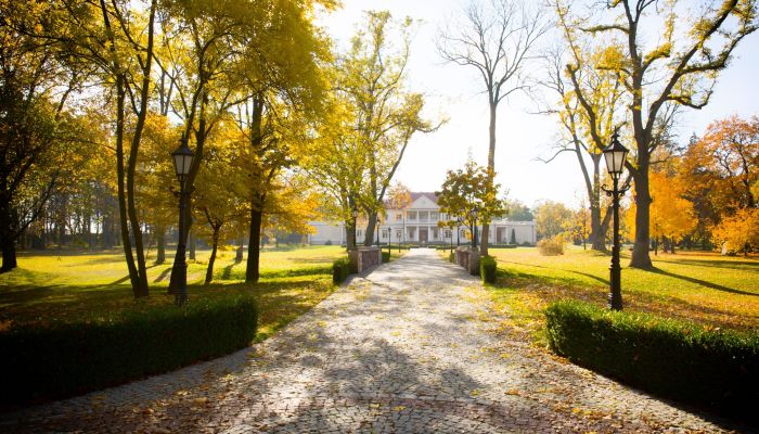 Herregård til salg Zborów, województwo wielkopolskie,  Polen