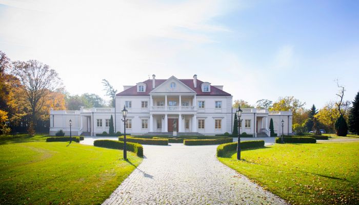  Zborów 2