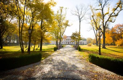 Charakterimmobilien, Herrenhaus und Park in Zborów, Region Großpolen