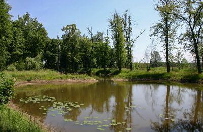 Slot till salu Radoszewnica, województwo śląskie, Dam/sø