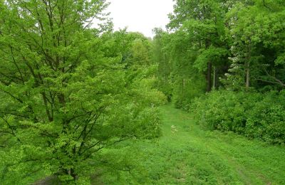 Slott til salgs Gwoździany, Spółdzielcza 4a, województwo śląskie:  Park