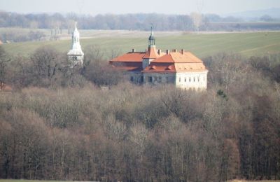 Historisk ejendom til salg Domanice, województwo dolnośląskie, Billede 6/13