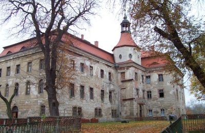 Historisk ejendom til salg Domanice, województwo dolnośląskie, Billede 3/13