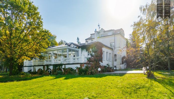  Żychlin 5