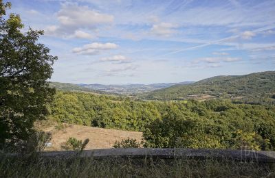 Historische toren te koop 06019 Spedalicchio, Umbria:  