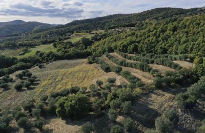 Historisk tårn til salg 06019 Spedalicchio, Umbria, Billede 26/31