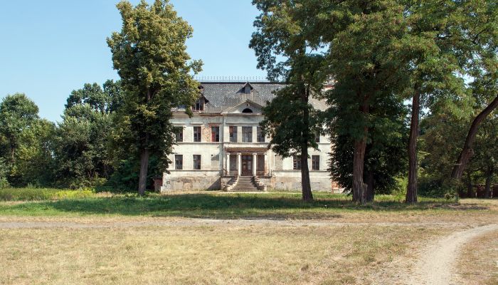 Schloss Budziwojów 2