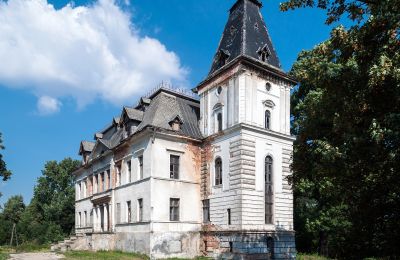 Schloss kaufen Budziwojów, Pałac w Budziwojowie, Niederschlesien:  Außenansicht