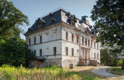 Slott till salu Budziwojów, Pałac w Budziwojowie, województwo dolnośląskie:  