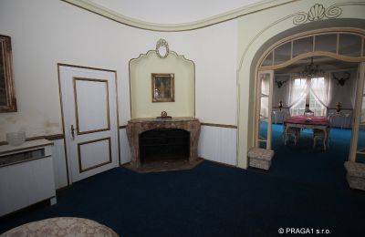 Herregård kaufen Karlovy Vary, Karlovarský kraj, Stueområde