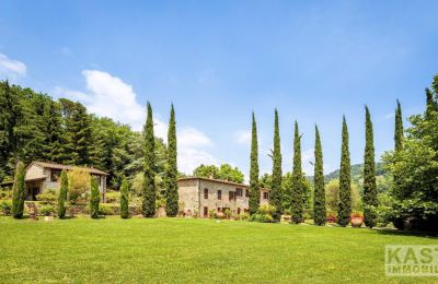 Landhaus kaufen Lucca, Toskana:  Grundstück