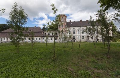 Slot til salg Cecenowo, Pałac w Cecenowie, województwo pomorskie, 2016