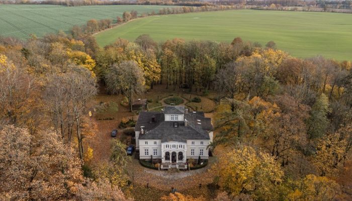 Herrenhaus/Gutshaus kaufen Lisewo, Pommern,  Polen