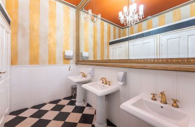 Herregård kaufen Lisewo, Dwór w Lisewie, województwo pomorskie, Foto 13/20