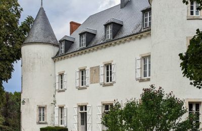 Kasteel te koop Châteauroux, Centre-Val de Loire:  Vooraanzicht
