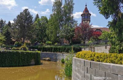 Slott til salgs Karlovy Vary, Karlovarský kraj, Bilde 3/14