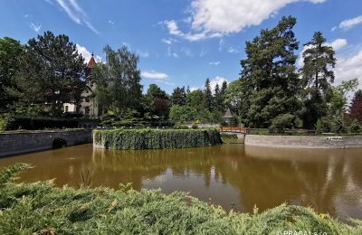 Slott til salgs Karlovy Vary, Karlovarský kraj:  