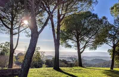 Bauernhaus kaufen 11000 Carcassonne, Okzitanien:  Garten