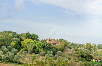 Landhaus kaufen Livorno, Toskana:  