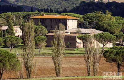 Herregård til salgs Buonconvento, Toscana:  