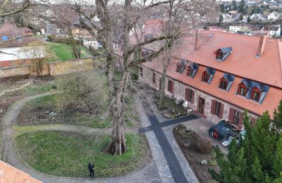 Slot til salg Hessen, Billede 6/14