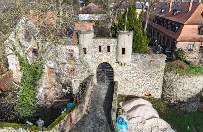 Slot til salg Hessen, Billede 2/14