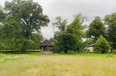 Herregård til salg Paplin, Dwór w Paplinie, województwo mazowieckie, Ejendom