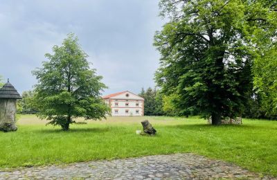 Herregård til salg Paplin, Dwór w Paplinie, województwo mazowieckie, Billede 11/20