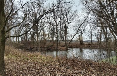 Herregård købe Leszno, województwo wielkopolskie:  Park