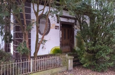 Herrenhaus/Gutshaus kaufen Leszno, Großpolen, Foto 3/15