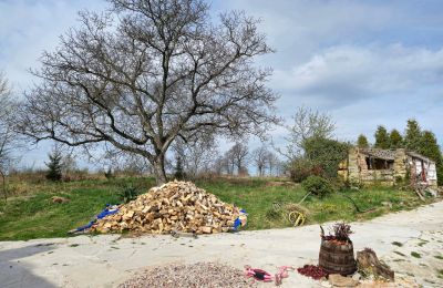Landsted til salgs Lubomierz, województwo dolnośląskie, Bilde 5/27