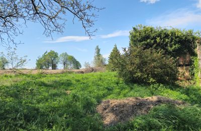 Landsted til salgs Lubomierz, województwo dolnośląskie, Bilde 11/27
