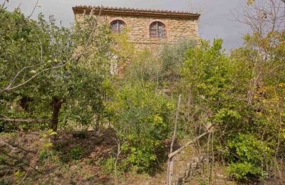 Tårn til salgs 06059 Vasciano, Umbria:  