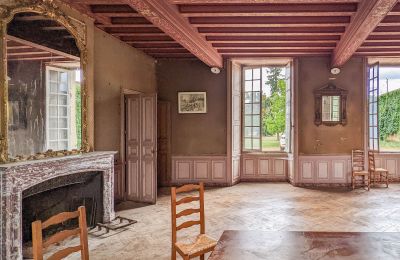 Slott til salgs Loudun, Nouvelle-Aquitaine:  Innvendig 1