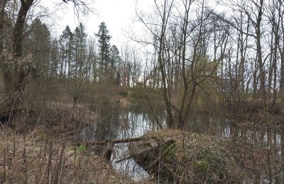Herrenhaus/Gutshaus kaufen Drawno, Westpommern:  Teich/See