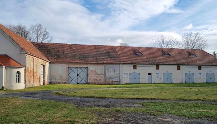 Kasteel Brzeźnica 4