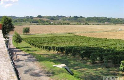 Historisk villa til salgs Terricciola, Toscana, Tomt
