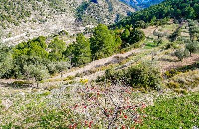 Historisk villa til salgs Relleu, Valencia, Bilde 21/24