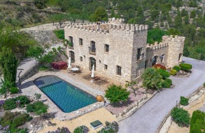 Historisk villa til salgs Relleu, Valencia, Bilde 24/24