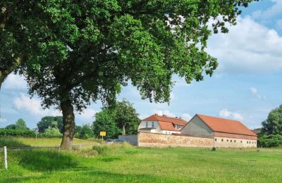 Historisk villa købe 16945 Meyenburg, Brandenburg:  Blick von Nordwesten
