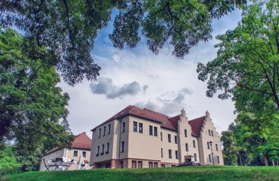 Historisk eiendom til salgs Niemcza, województwo dolnośląskie, Bilde 3/27