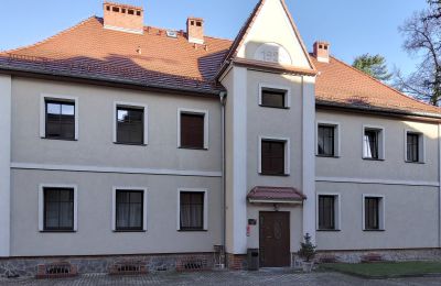 Historisk eiendom til salgs Niemcza, województwo dolnośląskie, Bilde 6/27