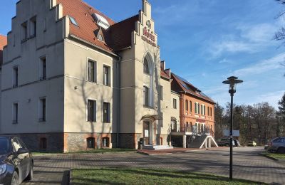 Historisk eiendom til salgs Niemcza, województwo dolnośląskie, Bilde 2/27
