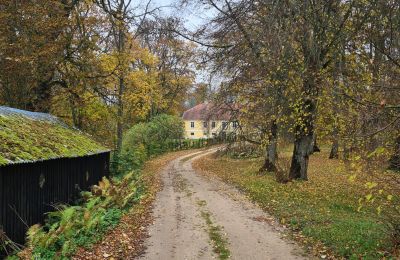 Herregård til salg Laidi, Rudes muiža, Kurzeme, Indkørsel