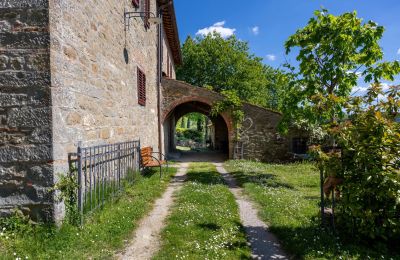 Landsted til salgs Lamole, Toscana, Bilde 35/37