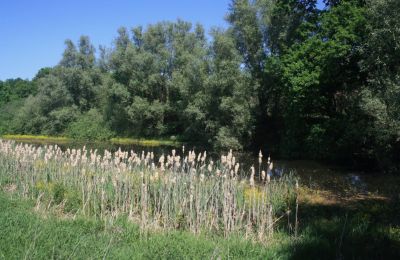 Herregård til salg 17309 Fahrenwalde,  Friedrichhof 7-8, Mecklenburg-Vorpommern, Billede 23/26