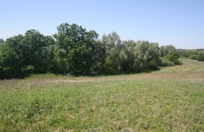 Herregård til salg 17309 Fahrenwalde,  Friedrichhof 7-8, Mecklenburg-Vorpommern, Billede 24/26