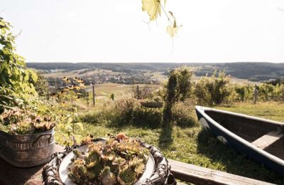 Historisk ejendom til salgs 8271 Bad Waltersdorf, Steiermark, Bilde 18/20