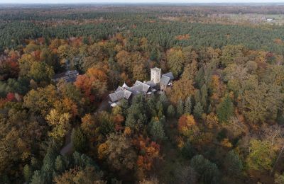 Historiske ejendomme, Unikt slot i Wielkopolska: Pałac Moja Wola